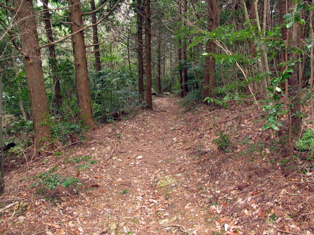 t13_129.jpg