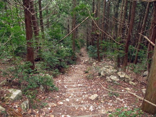 t13_130.jpg