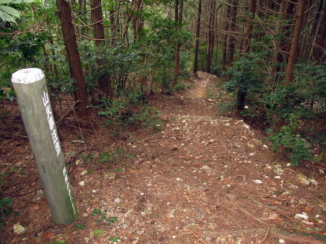 t13_131.jpg