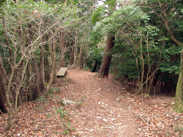 t13_133.jpg