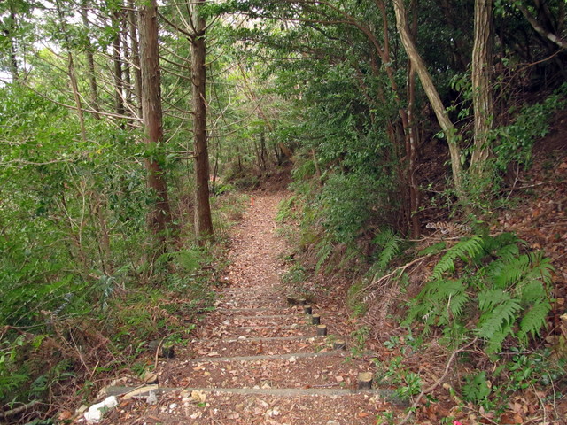 t13_135.jpg