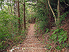 t13_135_thumb.jpg