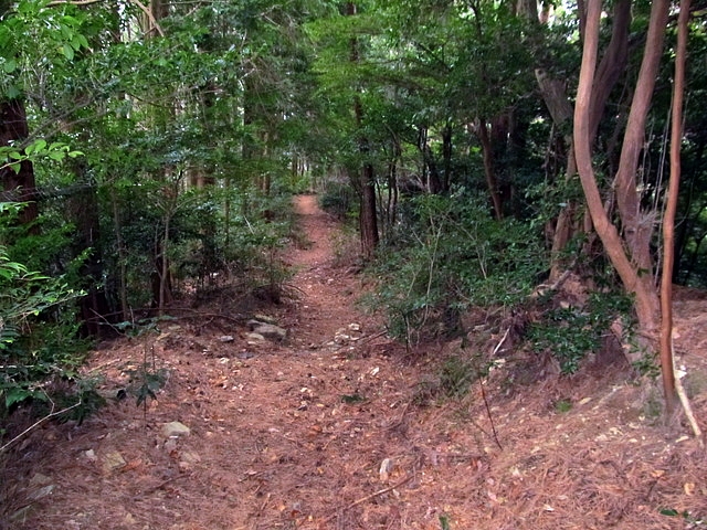 t13_139.jpg