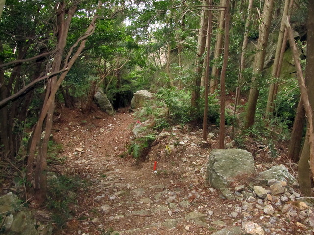t13_141.jpg