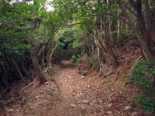 t13_142.jpg