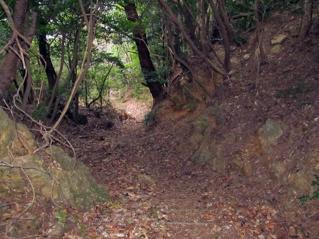 t13_143.jpg