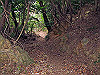 t13_143_thumb.jpg