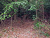 t13_144_thumb.jpg