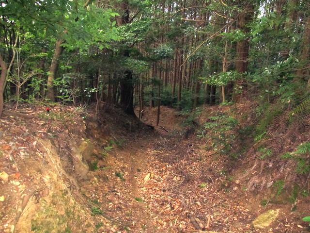 t13_145.jpg