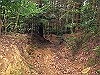 t13_145_thumb.jpg