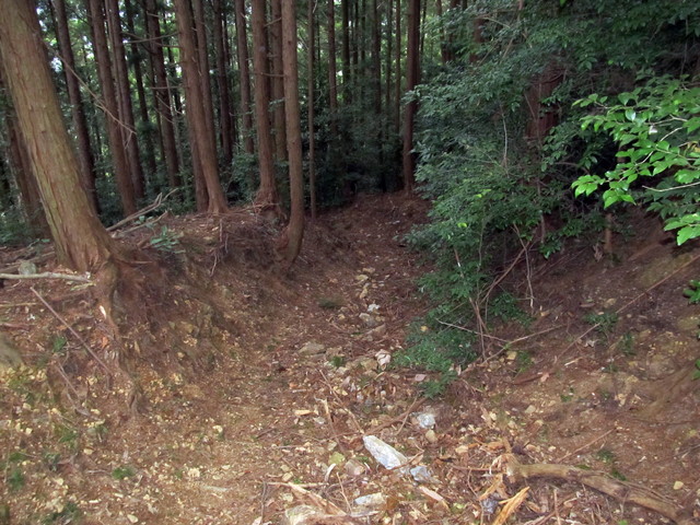 t13_147.jpg
