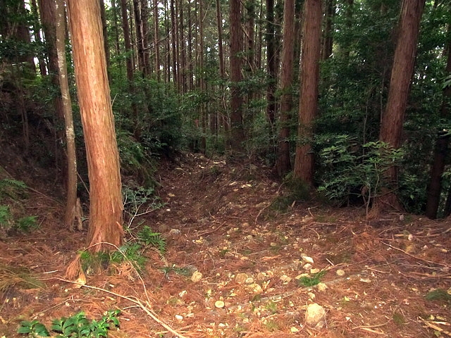t13_148.jpg
