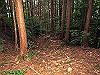 t13_148_thumb.jpg