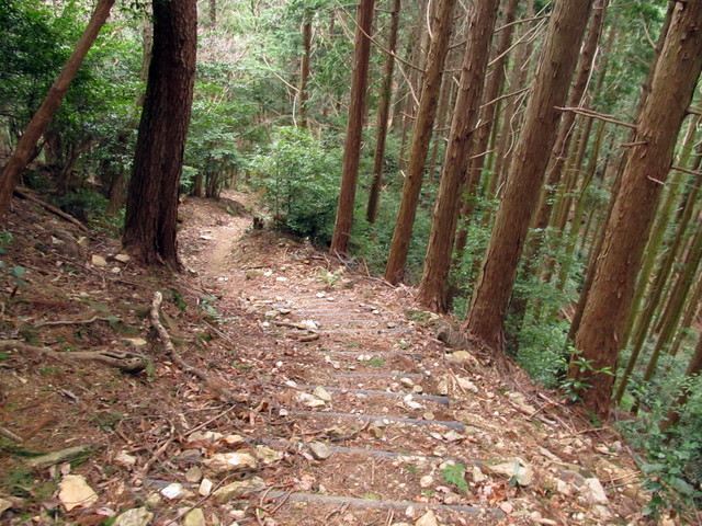 t13_154.jpg