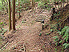 t13_156_thumb.jpg