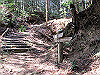 t13_157_thumb.jpg