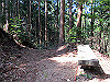 t13_158_thumb.jpg