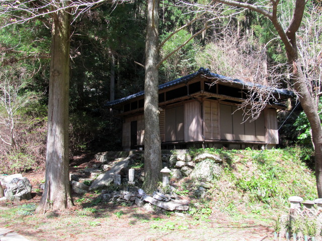 t13_162.jpg
