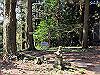 t13_163_thumb.jpg