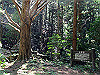 t13_165_thumb.jpg