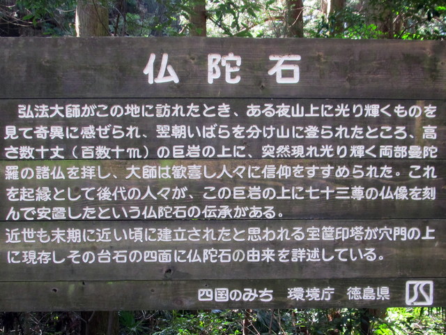 t13_166.jpg