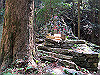 t13_167_thumb.jpg