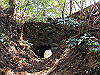 t13_174_thumb.jpg