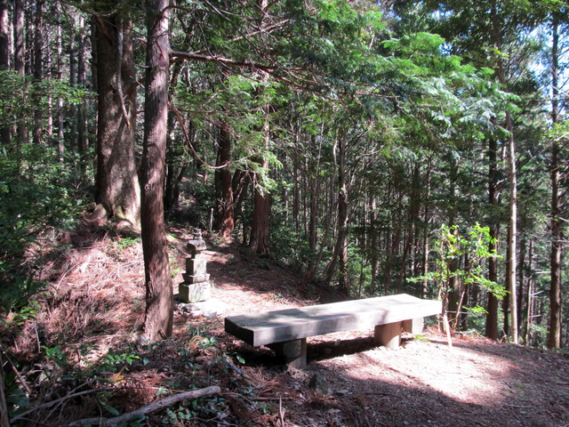 t13_175.jpg
