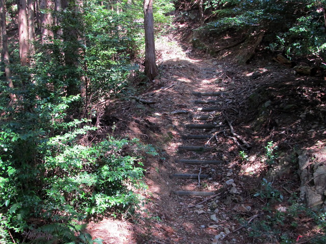 t13_176.jpg