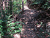 t13_176_thumb.jpg
