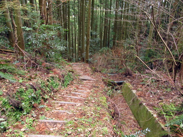 t13_183.jpg