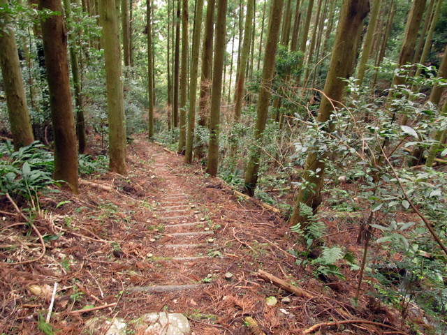 t13_184.jpg