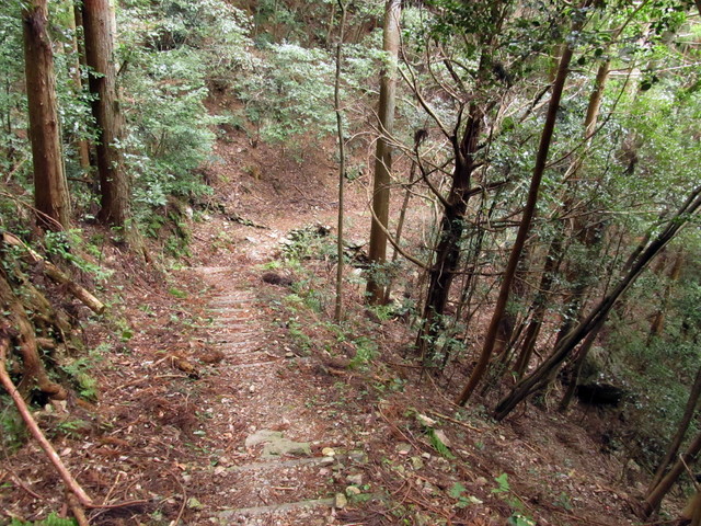 t13_185.jpg