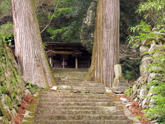 t13_193.jpg