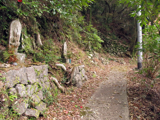 t13_195.jpg