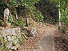 t13_195_thumb.jpg