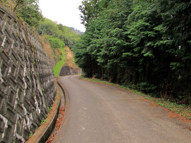 t13_198.jpg