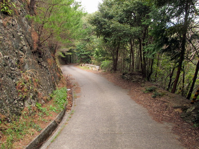 t13_200.jpg