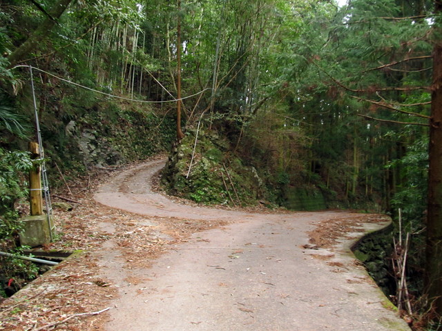 t13_207.jpg