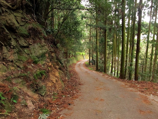 t13_208.jpg