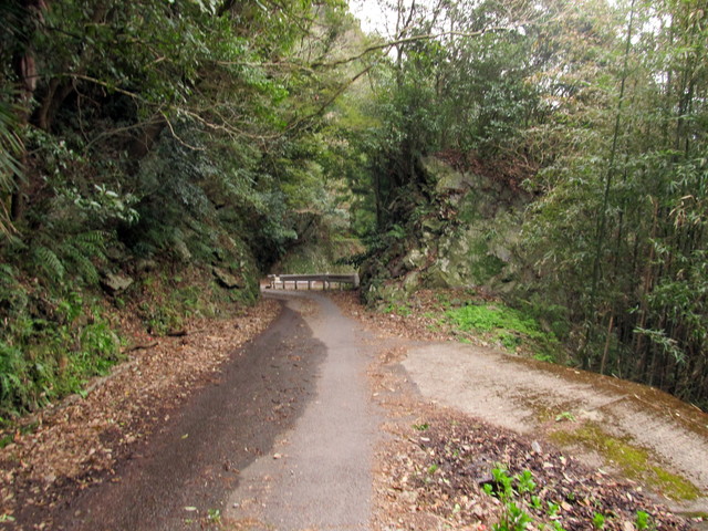 t13_211.jpg