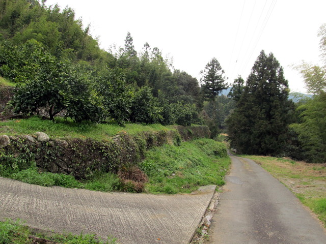 t13_215.jpg