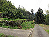 t13_215_thumb.jpg