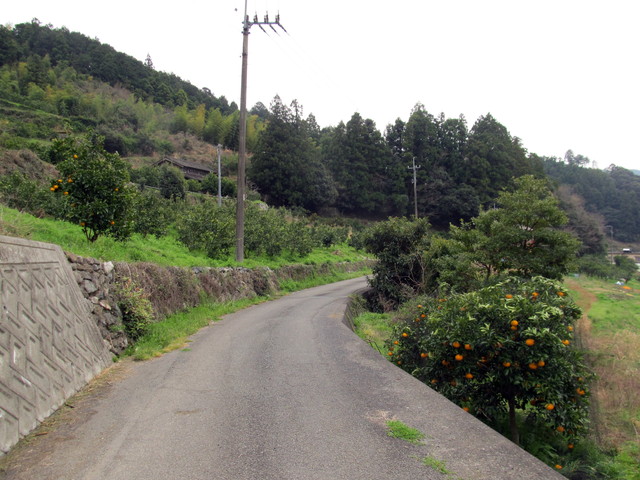 t13_216.jpg
