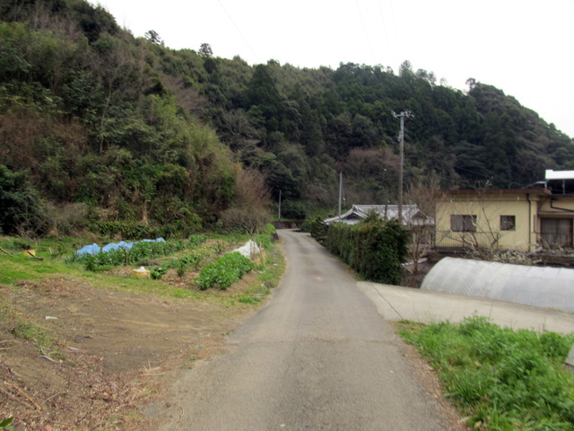 t13_218.jpg