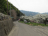 t13_220_thumb.jpg