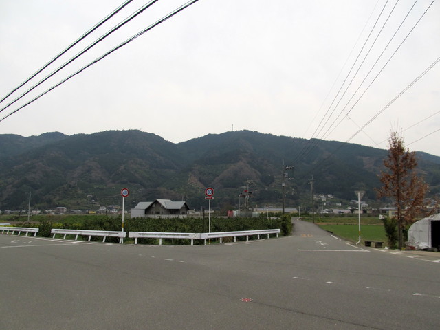 t13_226.jpg