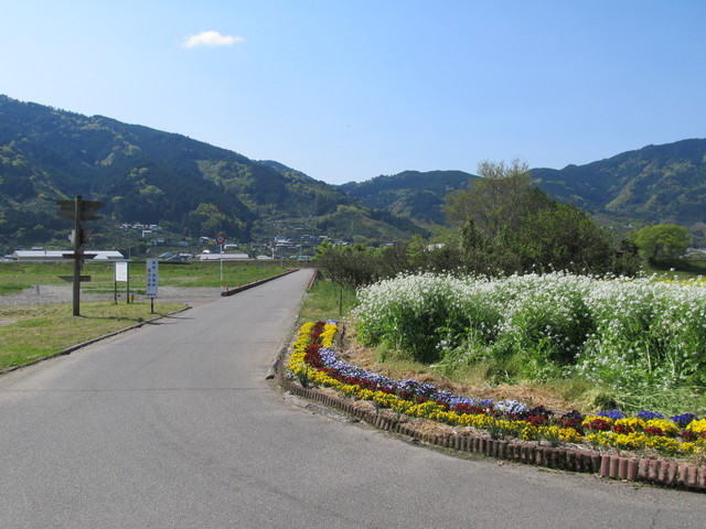 t13_230.jpg