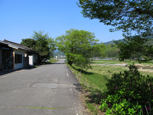 t13_236.jpg