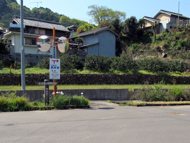 t13_245.jpg